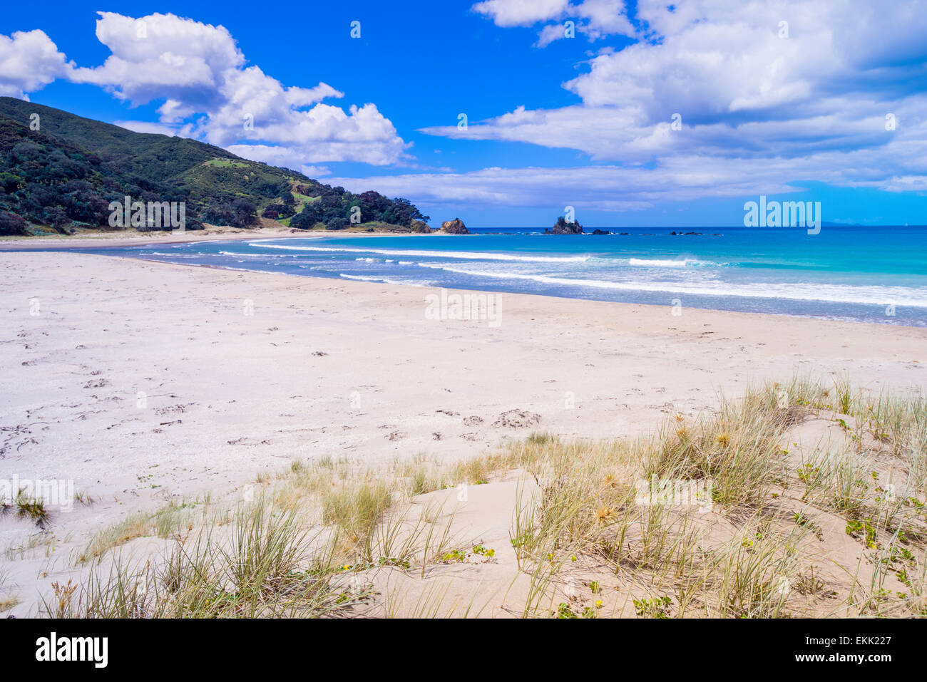 Waikawau Bay beach on The Coromandel Peninsula, North Island, New Zealand Stock Photo