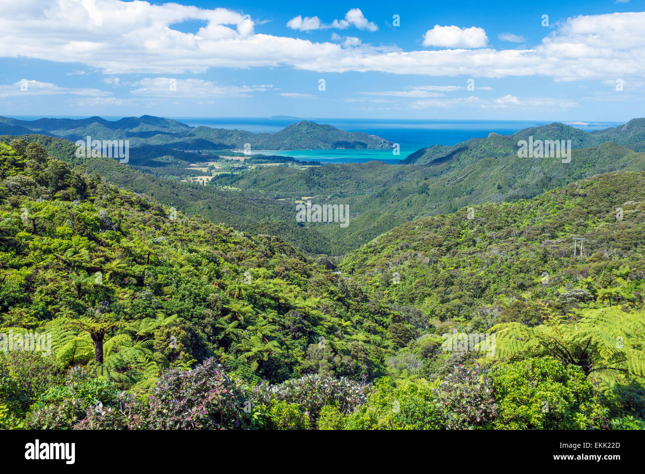 Looking out over Kennedy Bay and the Coromandel Peninsula. Photo taken in summer on a bright sunny day Stock Photo