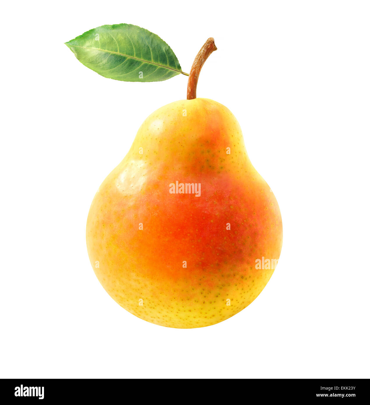 beautiful pear isolated on a white background Stock Photo