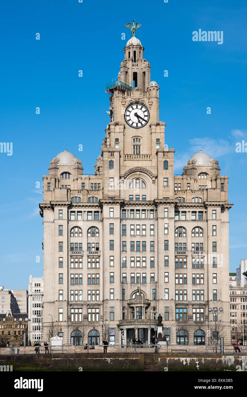 Royal Liver Building, UNESCO World Heritage Site, Liverpool Maritime Mercantile City, Liverpool, Merseyside, England Stock Photo