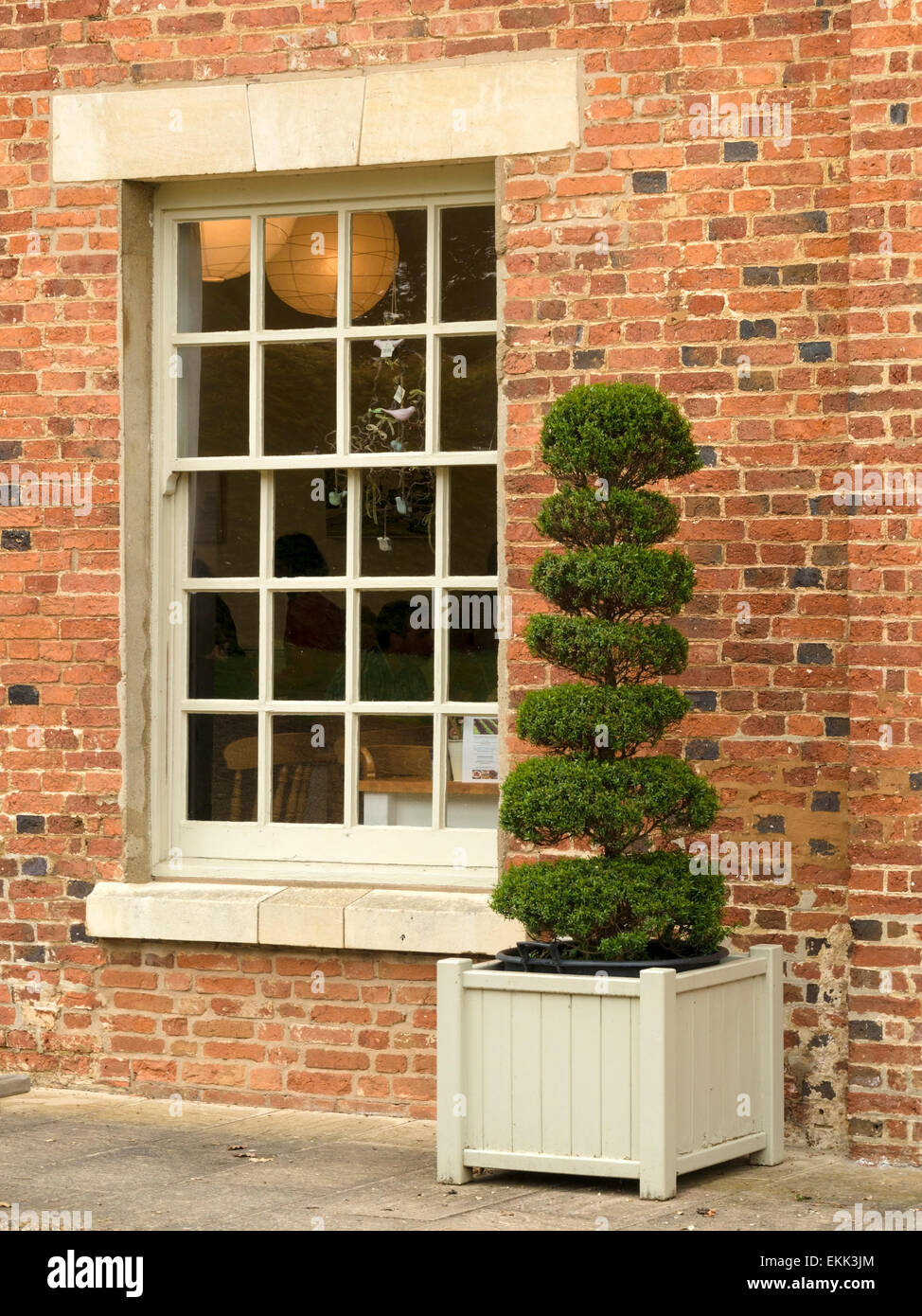 Sash window in old red brick wall with topiary yew in planter, Grimsthorpe Castle, Bourne, Lincolnshire, England, UK. Stock Photo