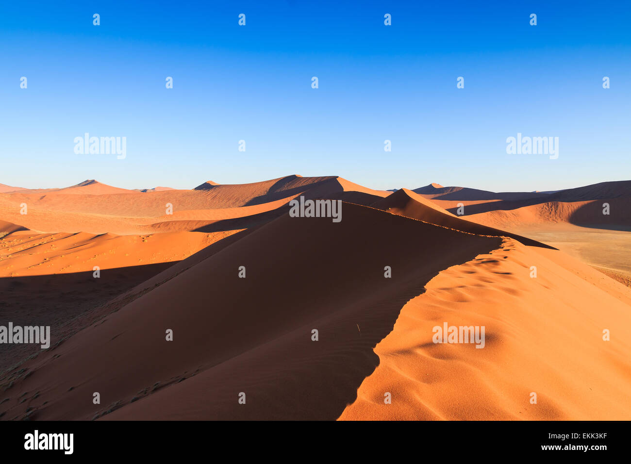 Walking to top red dune of always shifting sand. Sossusvlei, Namibia, Africa. Stock Photo