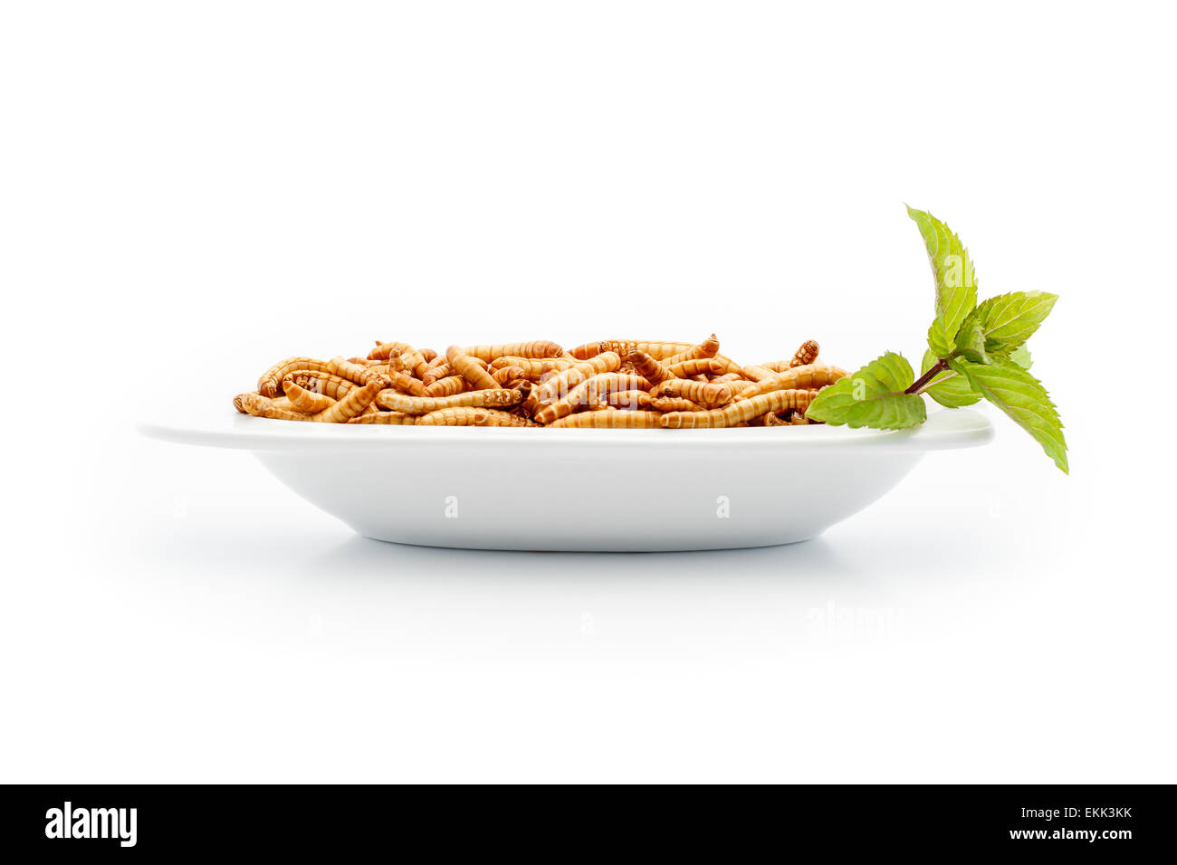 Mealworms on small plate with decoration. Food of the future. Mealworms