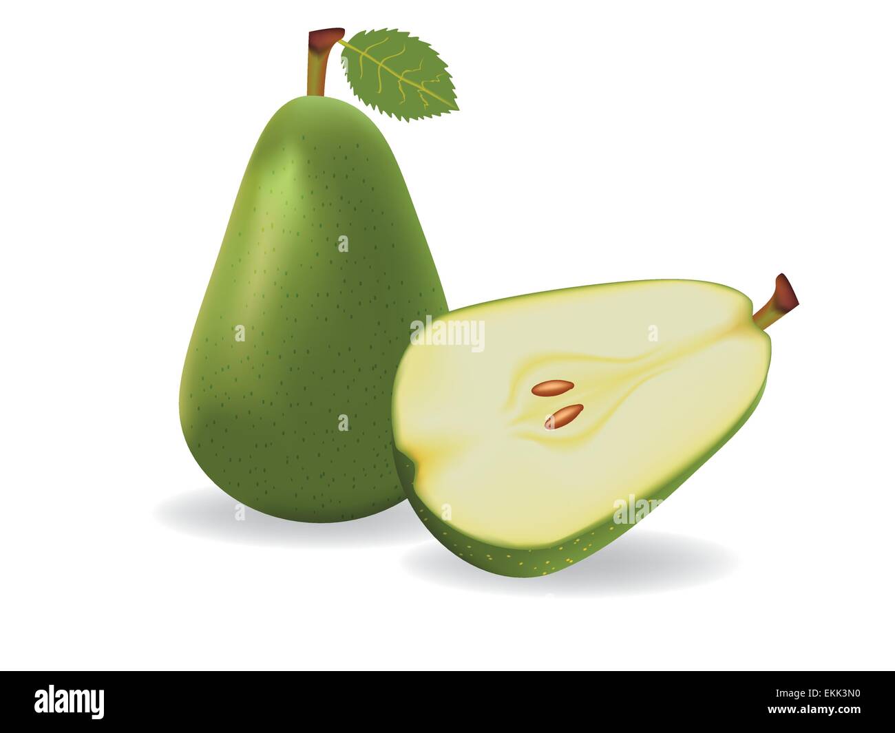 vector illustration . Pear on white background Stock Vector Image & Art ...