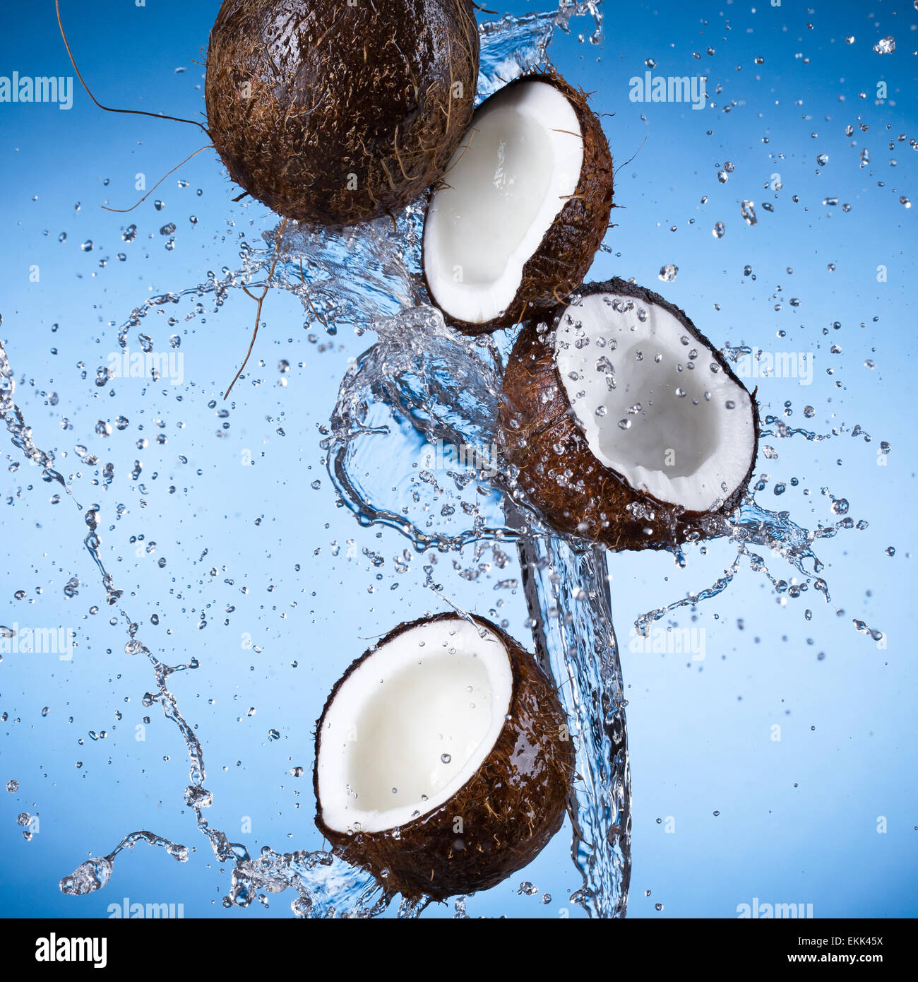 Coconuts with water splash isolated on white Stock Photo