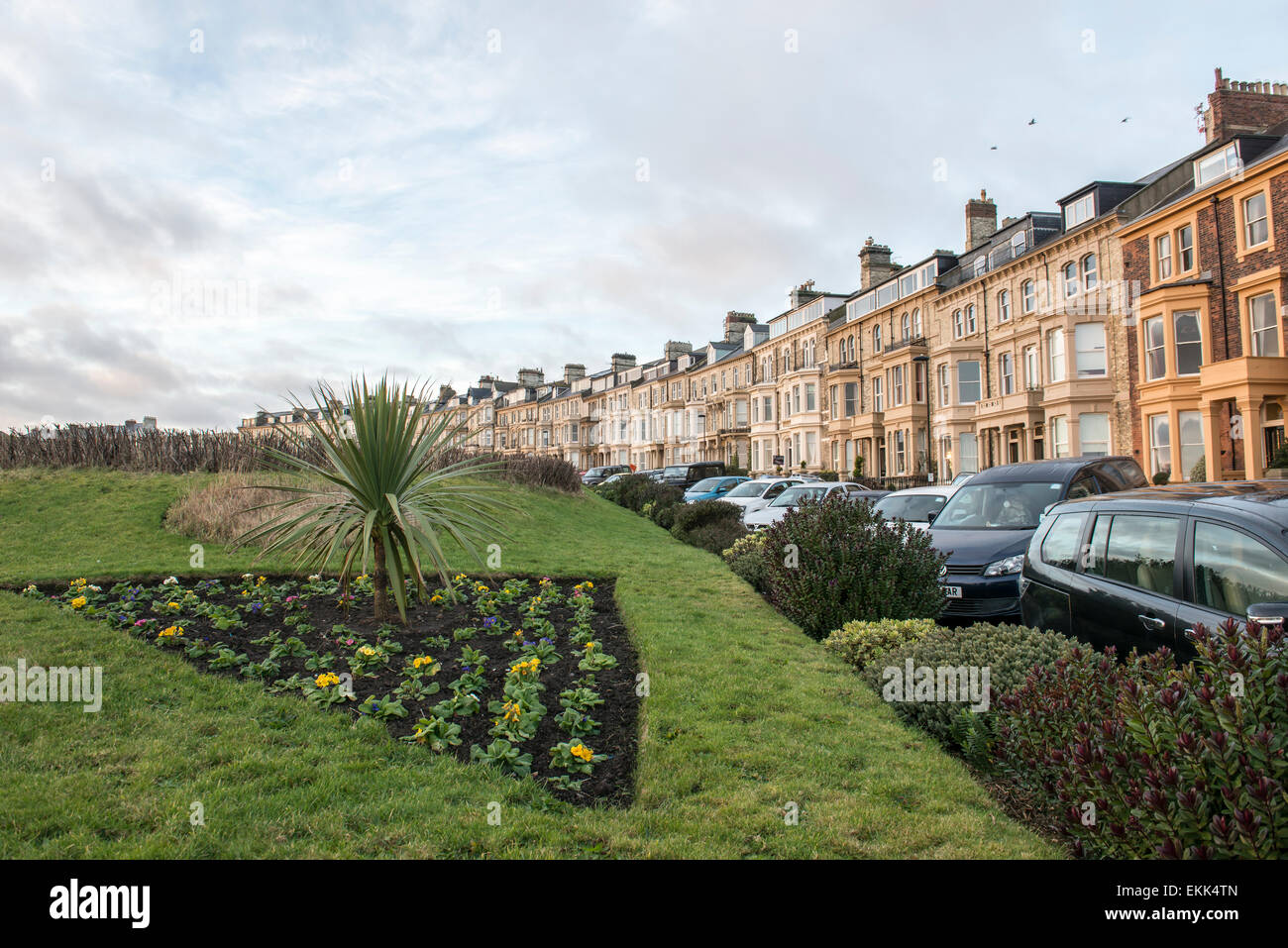 Percy gardens hires stock photography and images Alamy