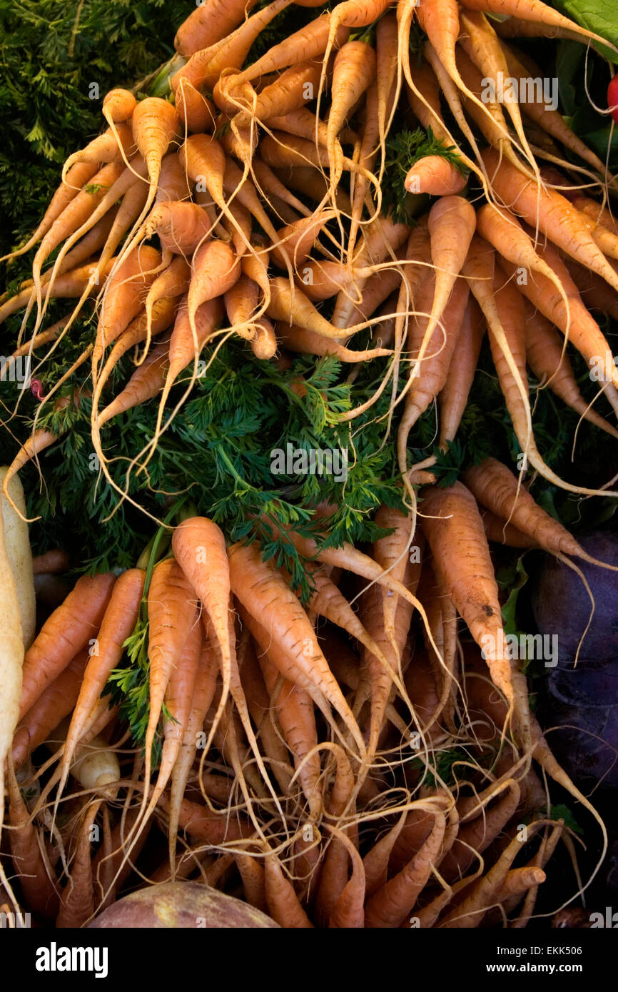 Carrot bunches organic local produce food Stock Photo