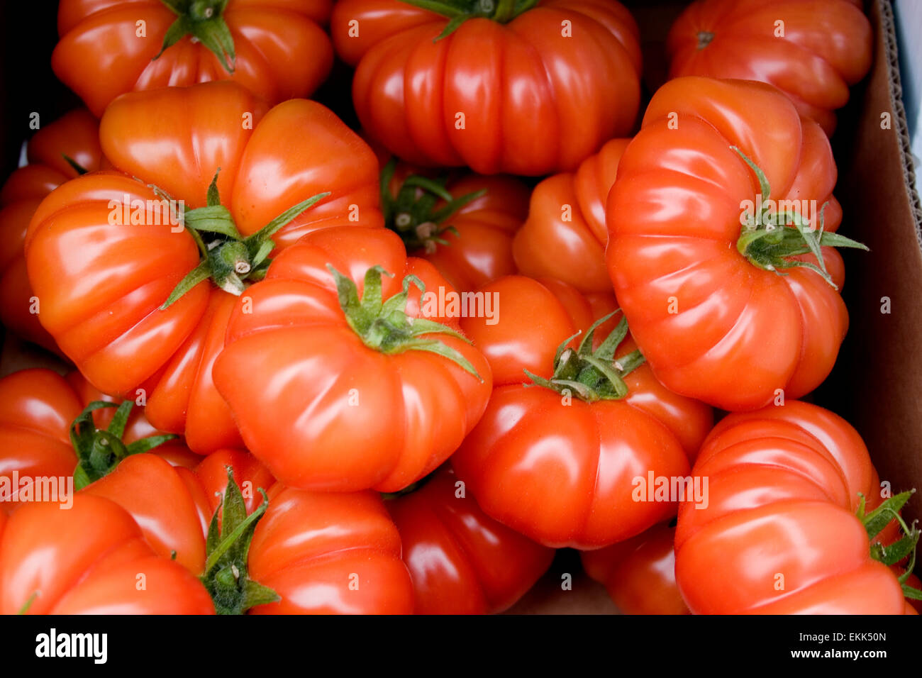 Organic beef  tomatoes  on vine red insecticide free Stock Photo