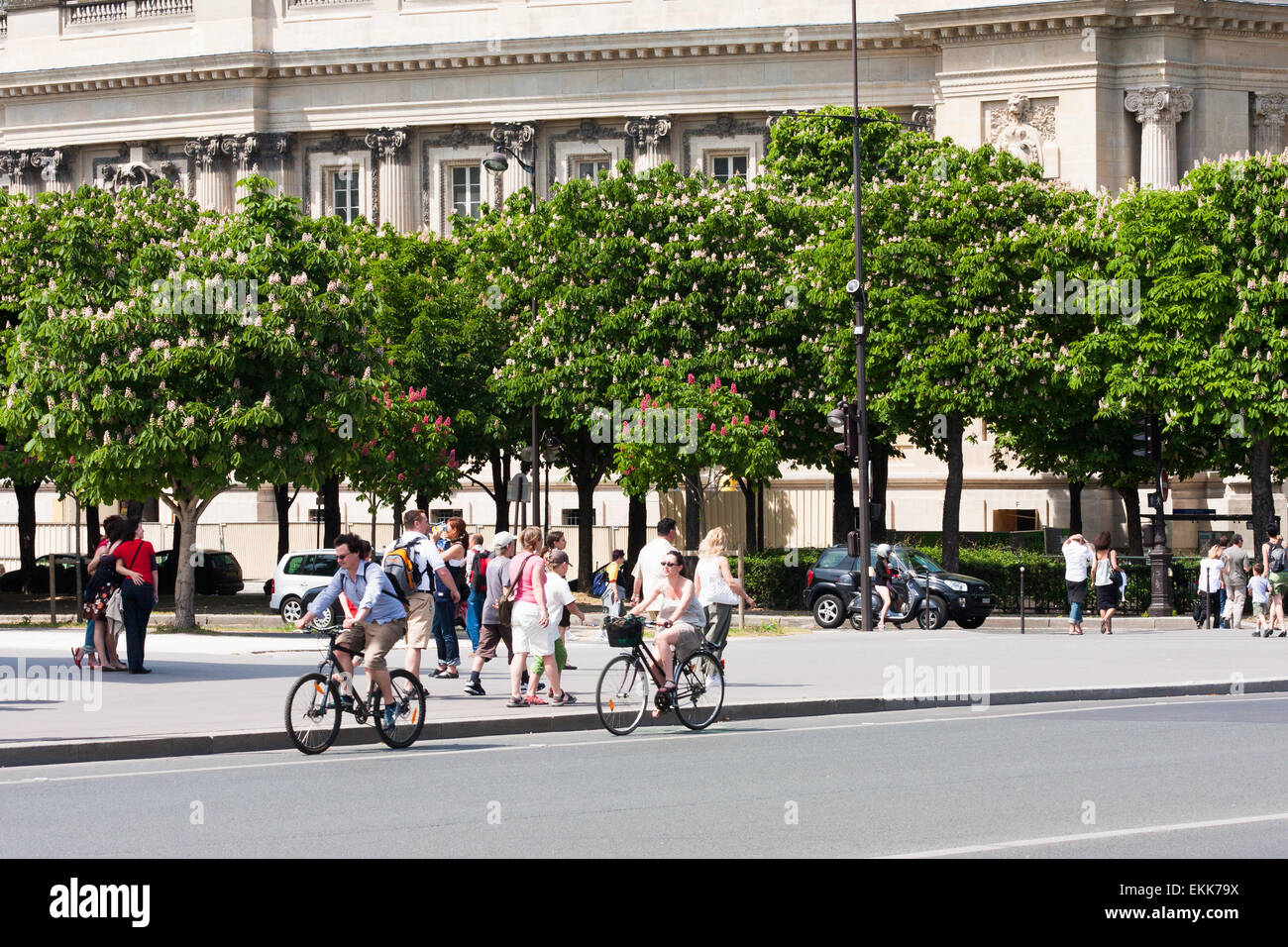 Cyclists, tourists and flowering trees, Paris France in Spring time of May 2008 Stock Photo