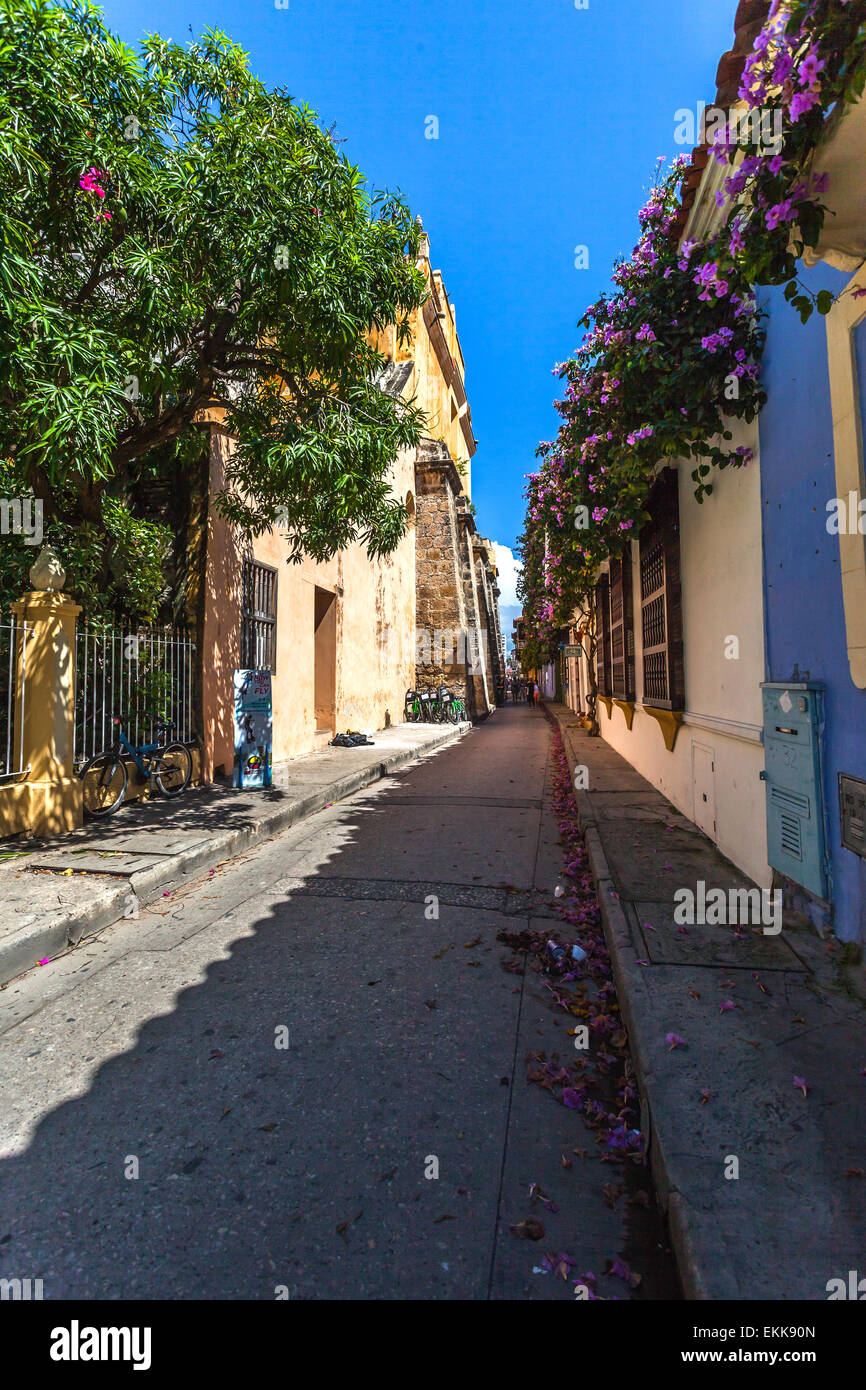 Typical narrow street in the Old Town in Cartagena de Indias, Colombia. Stock Photo
