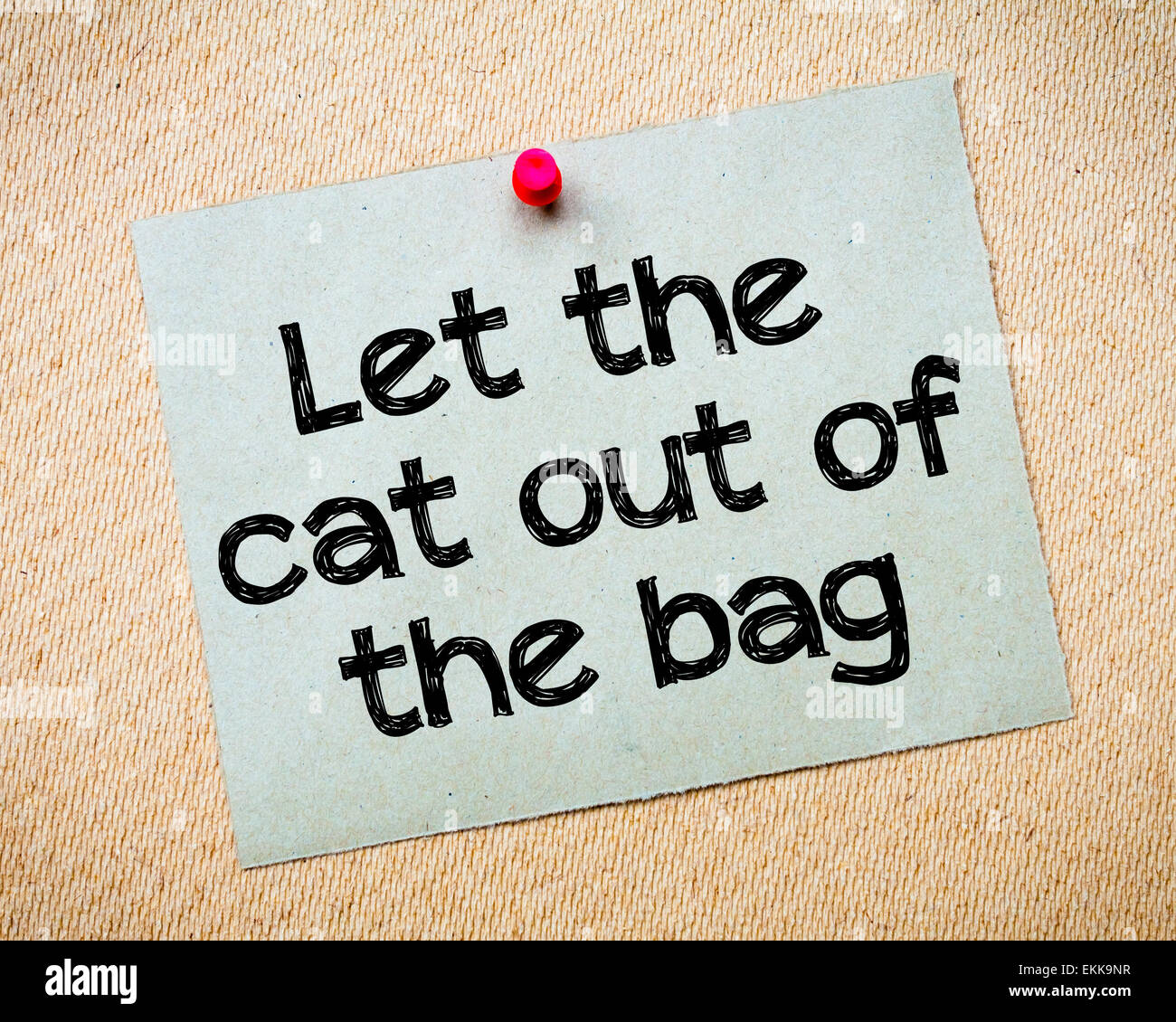 Dont Let The Cat Out Of The Bag Idiom
