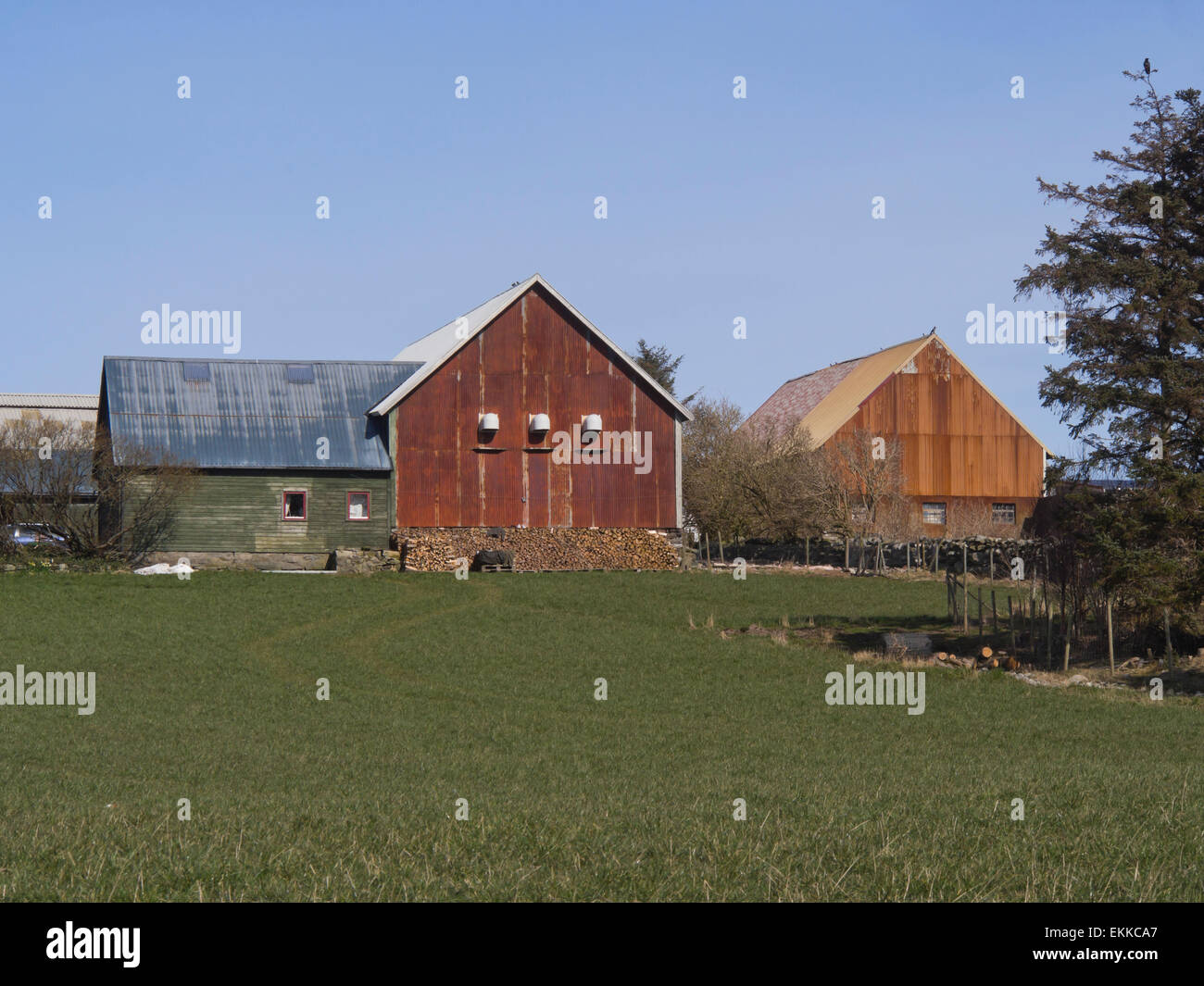 Norwegian farm buildings, blue sky and green fields, springtime in Jaeren outside of Stavanger Norway Stock Photo