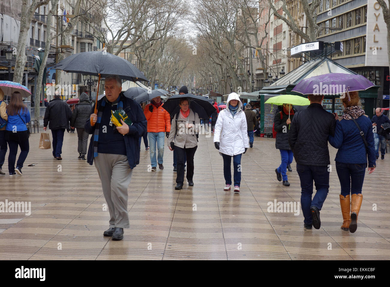 People with umbrellas on rainy day in Barcelona Stock Photo Alamy