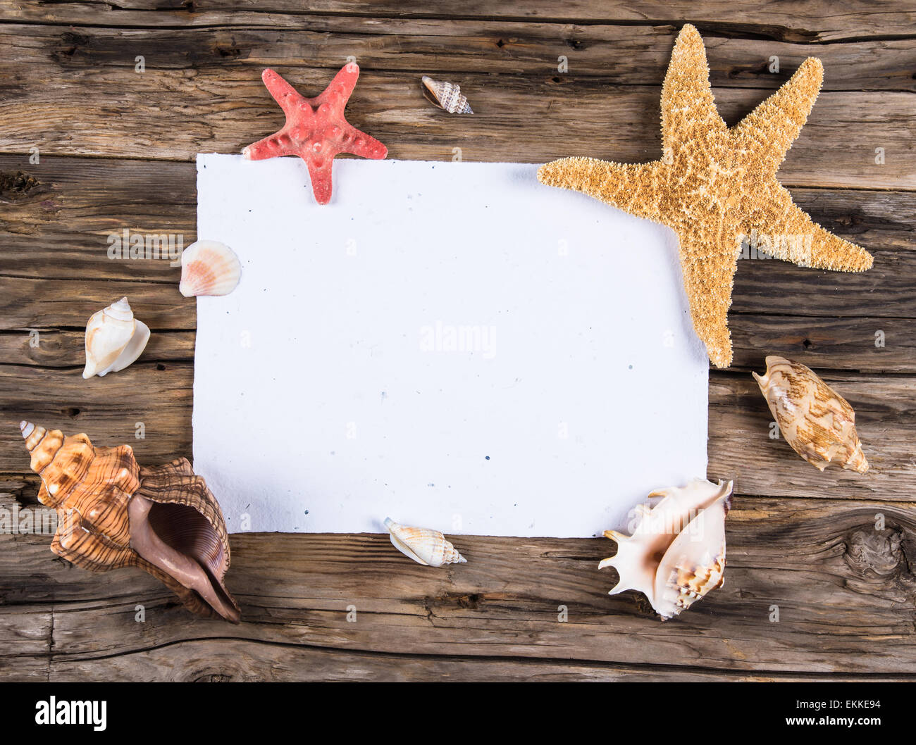 sea shells and starfish on wooden background, summer background Stock ...