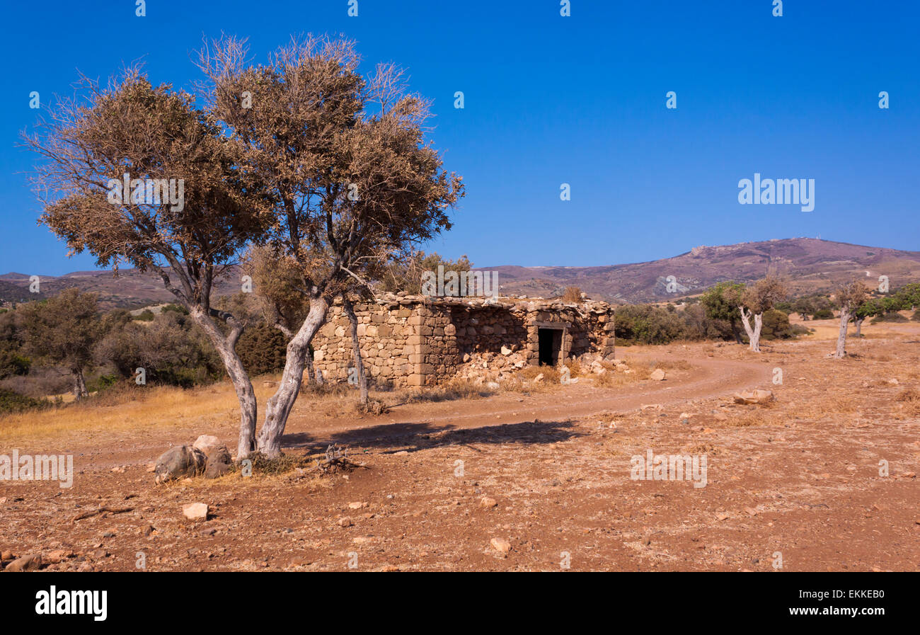 Farm animal shelter and olive trees in a semidesert area of the Akamas