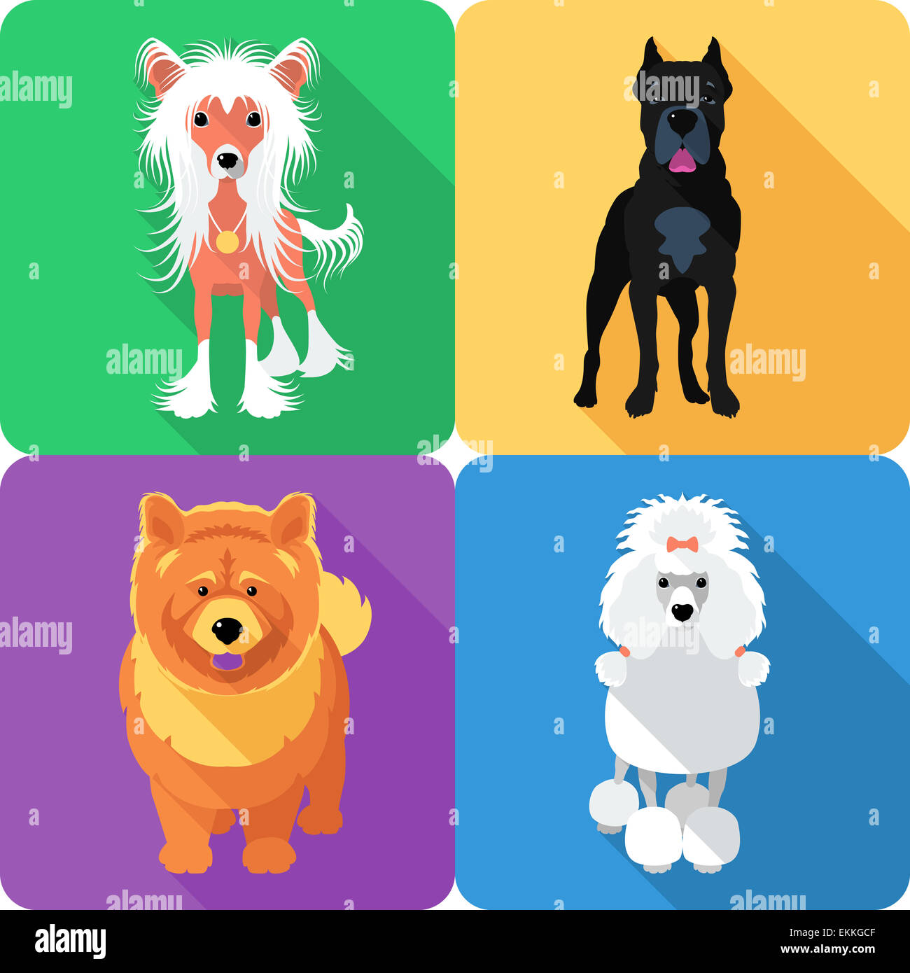 Set dog icon flat design Stock Photo