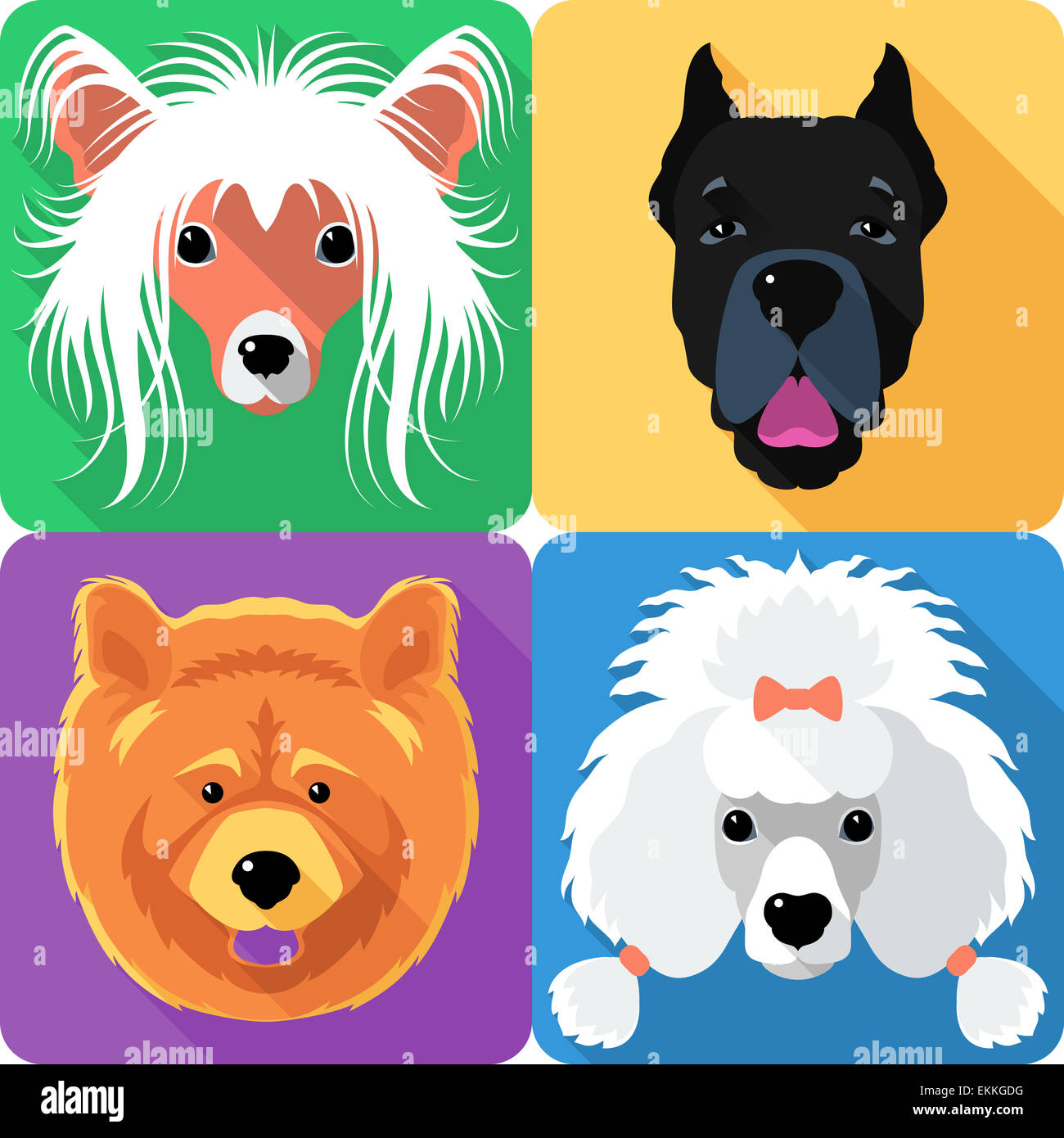 Set dog head icon flat design Stock Photo - Alamy