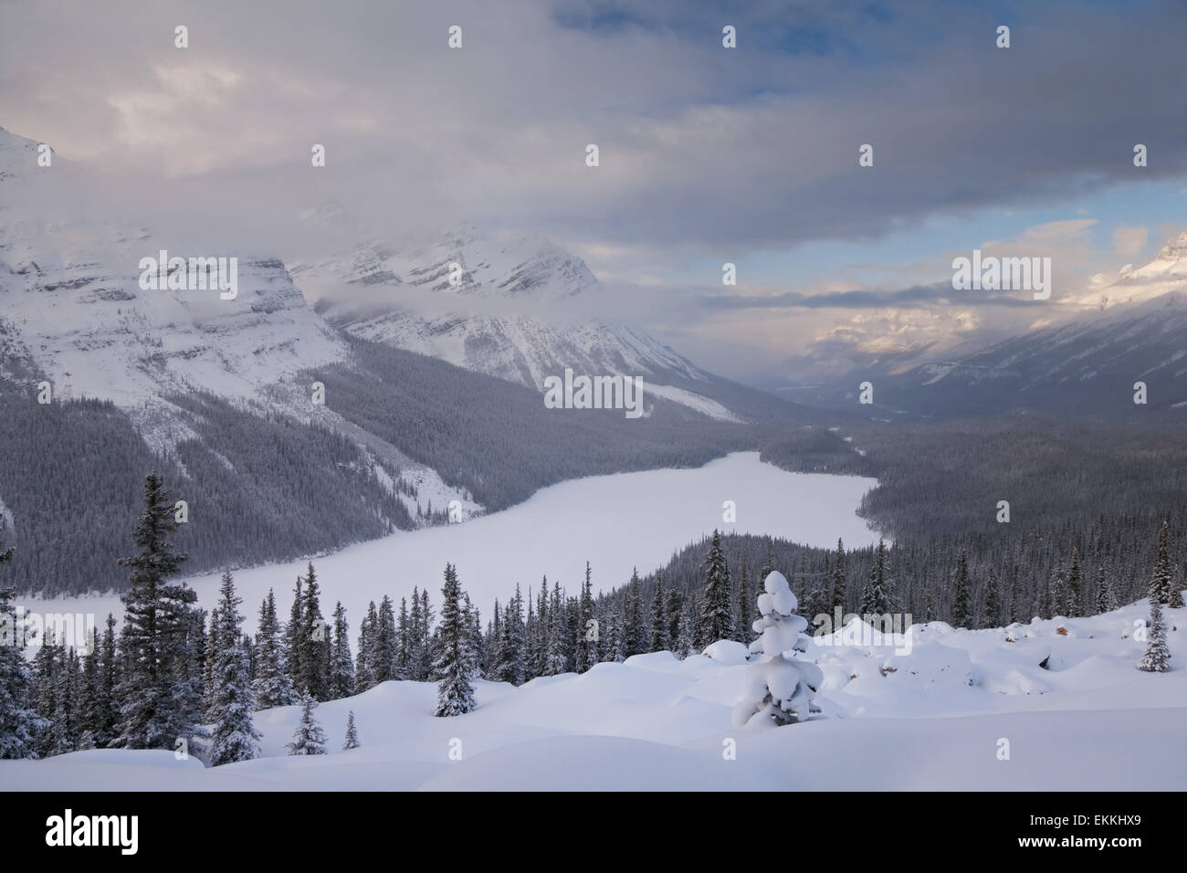 Peyto lake. Sunset. Canadian Rocky mountains. Banff National park ...