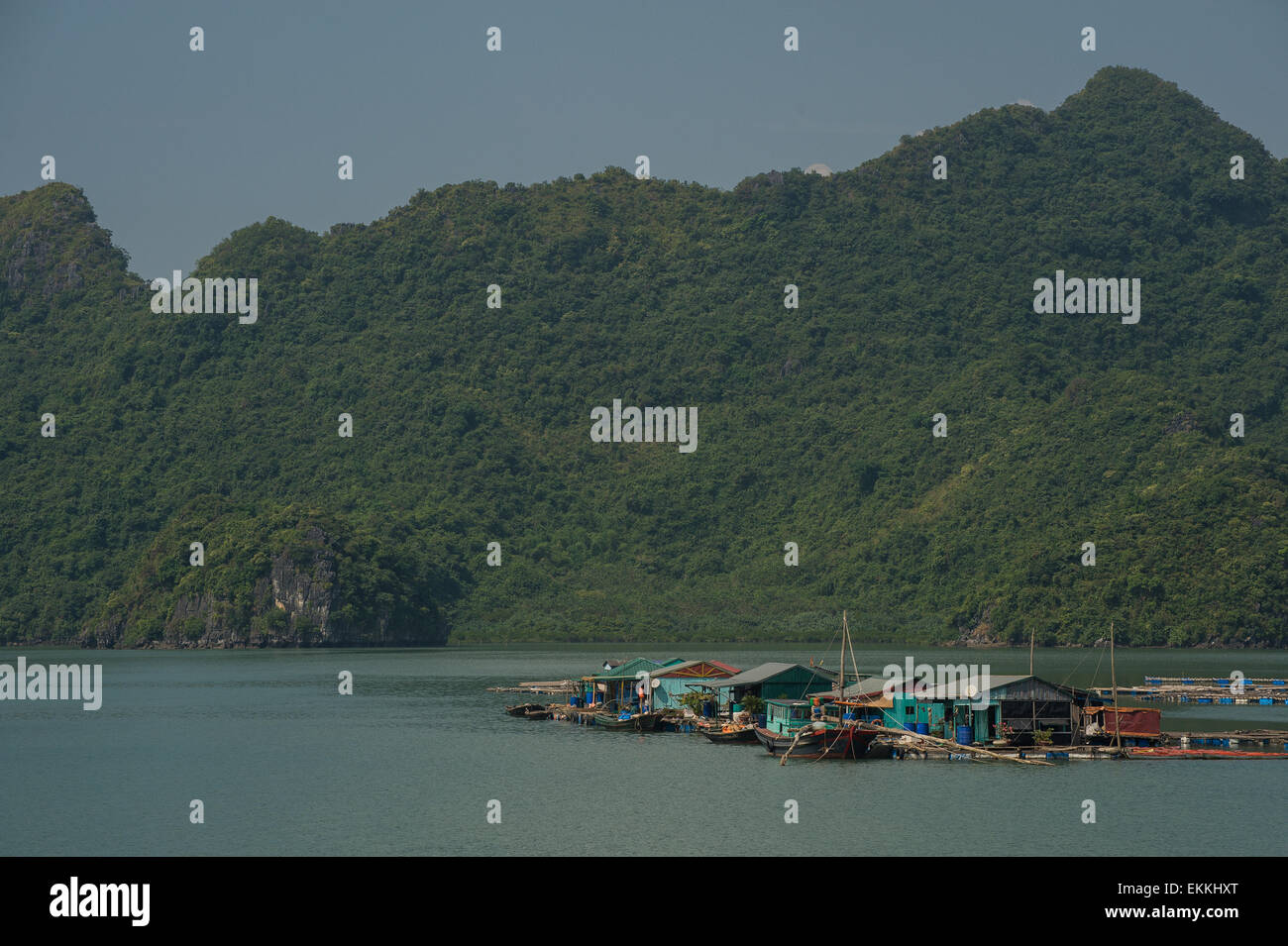 Locals of Ha Long Bay live on islands made from pontoons and wood Stock Photo Alamy