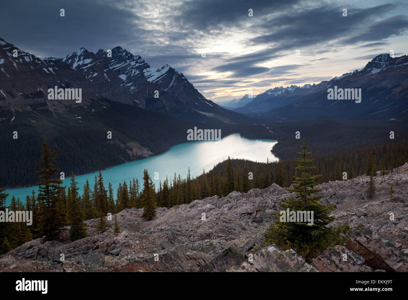 Peyto lake. Canadian Rocky mountains. Banff National park. Alberta ...