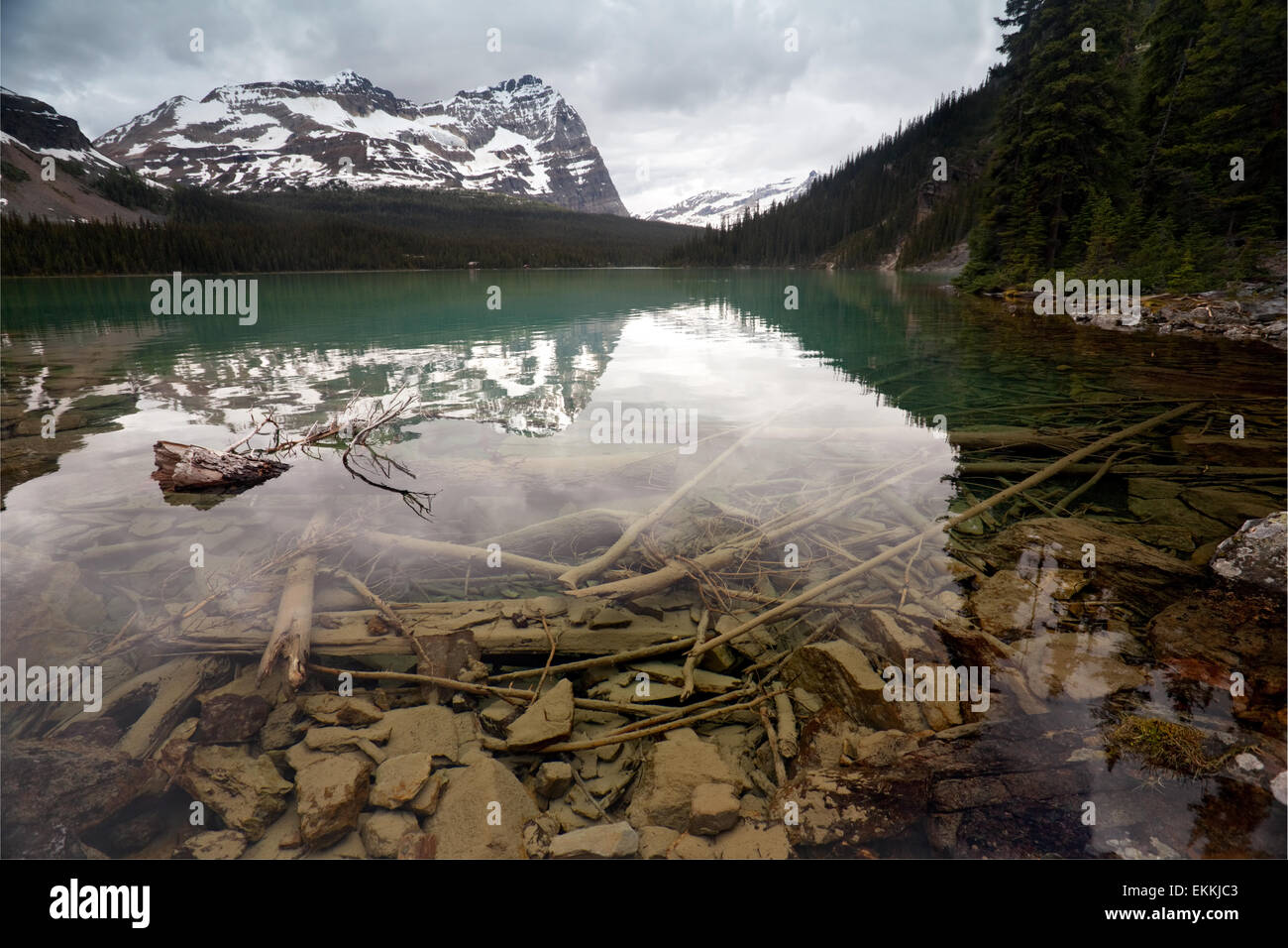 Lake O'Hara (Ohara) in autumn Canadian Rocky mountains. Yoho National