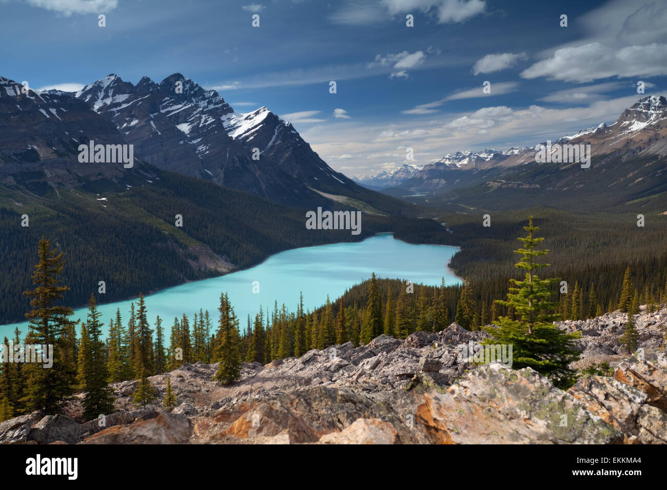 Peyto lake. Canadian Rocky mountains. Banff National park. Alberta ...