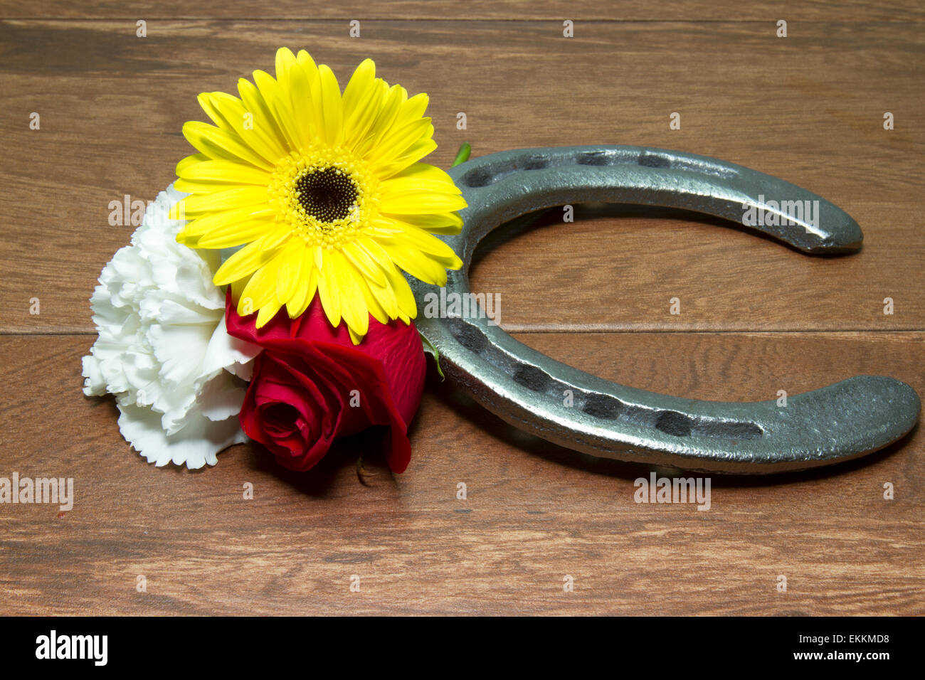 Three flowers of the triple crown Kentucky Derby red rose, Preakness Stakes black eyed susan