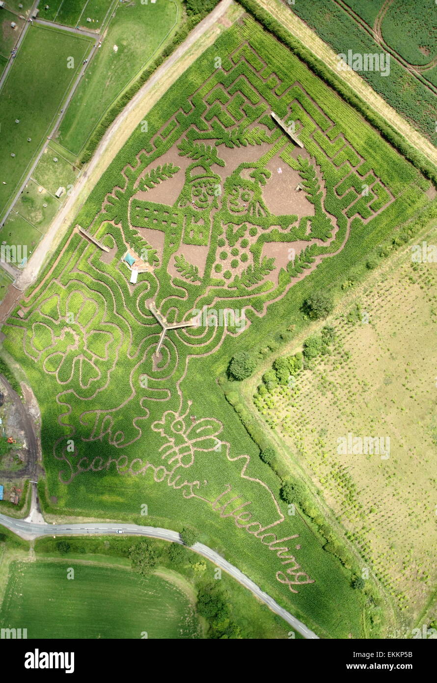 Maize maze celebrating the launch of Julia Donaldson's book 'The Scarecrows' Wedding, Staffordshire, UK - aerial shot Stock Photo