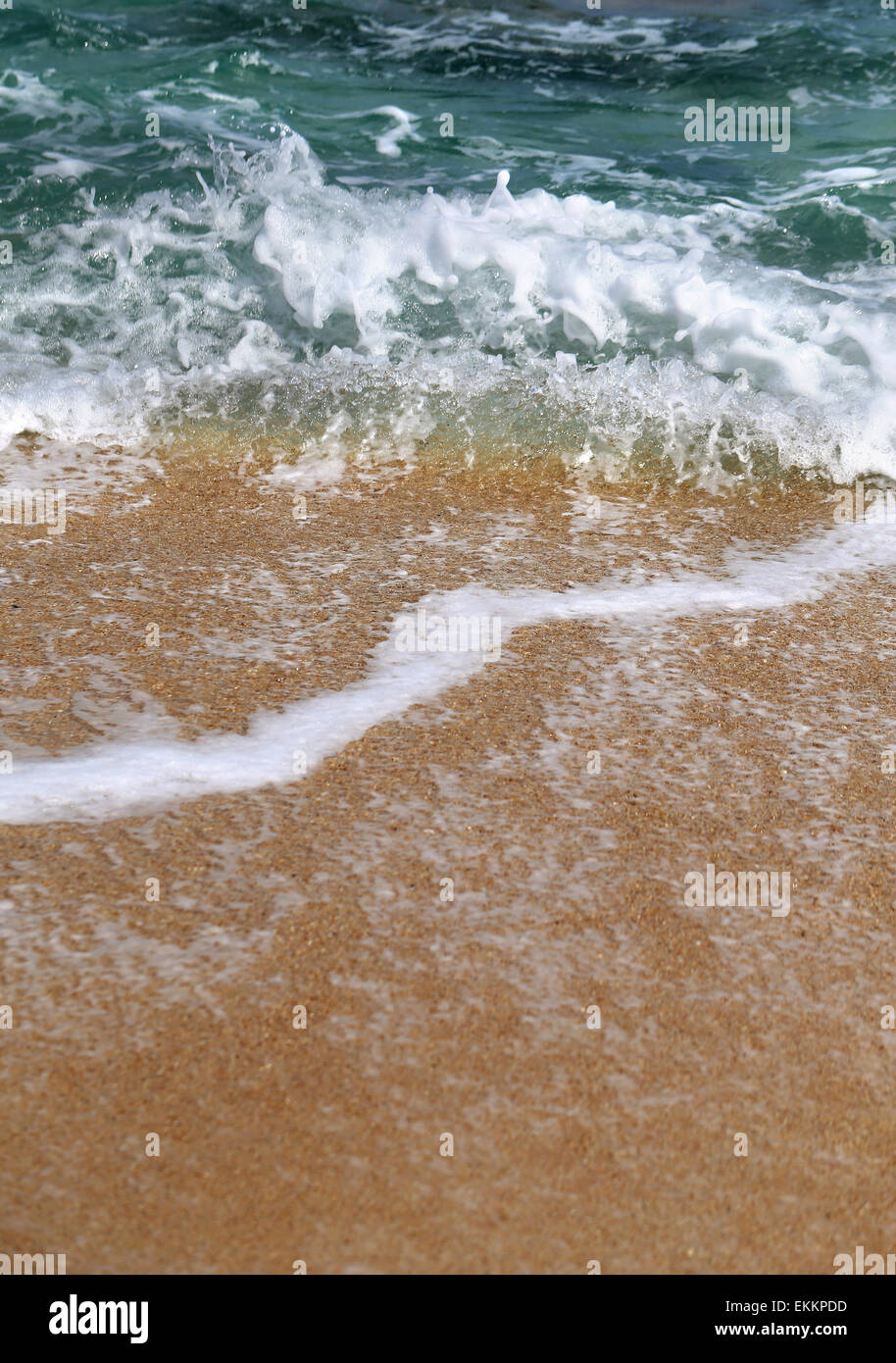 bright foaming a sea waves and beach Stock Photo