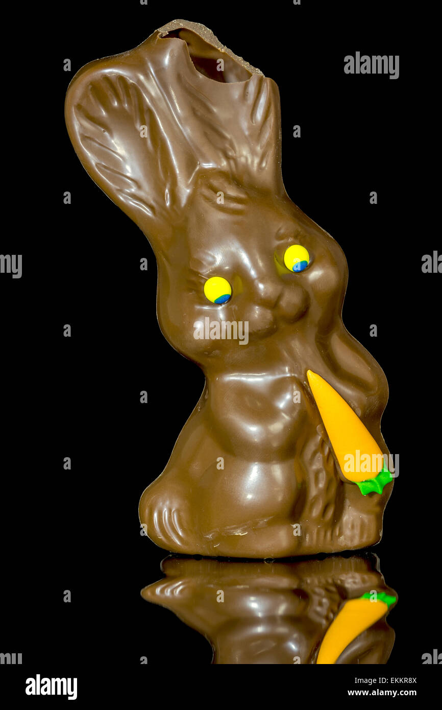 Chocolate bunny with a bite out of the ear Stock Photo Alamy