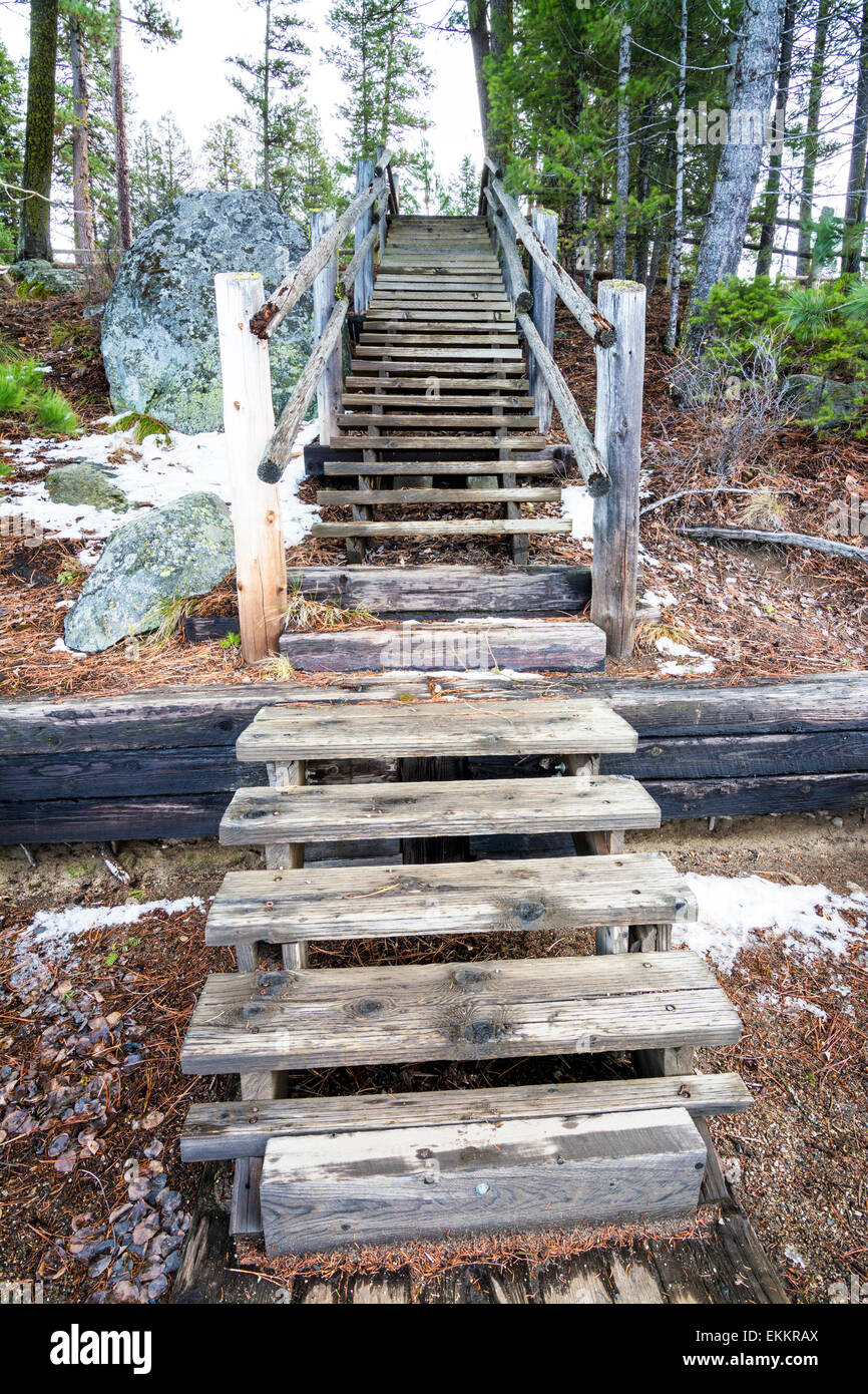 Wooden stairs forest hi-res stock photography and images - Alamy
