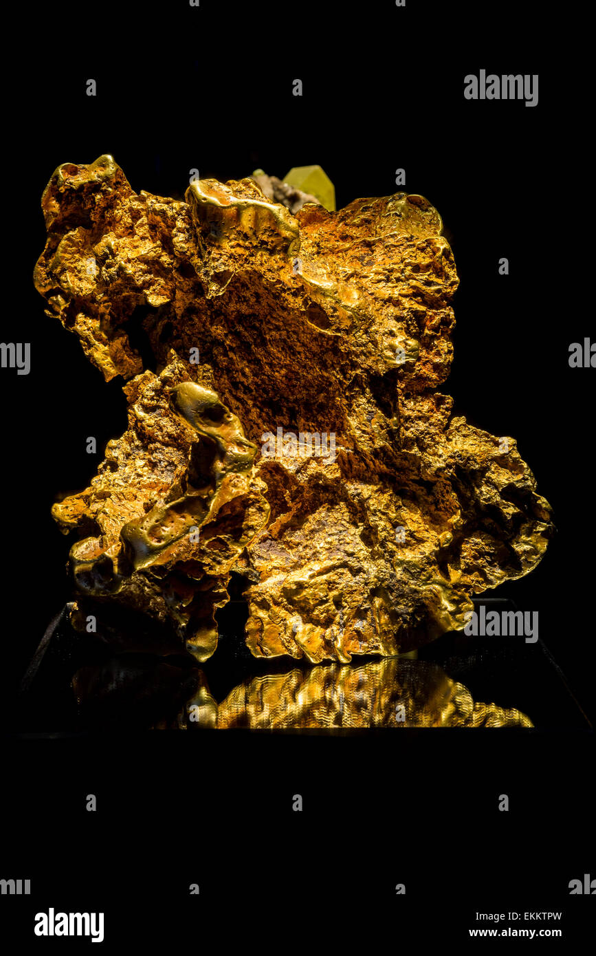 Natural form hi-res stock photography and images - Alamy