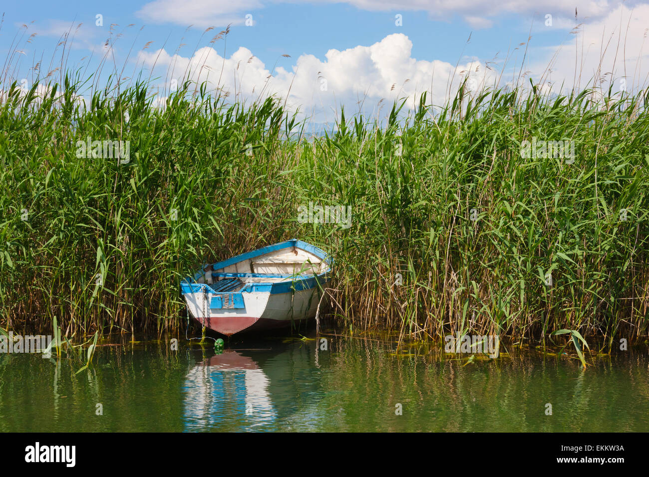 Canoe and reeds on Lake Ohrid, Republic of Macedonia Stock Photo