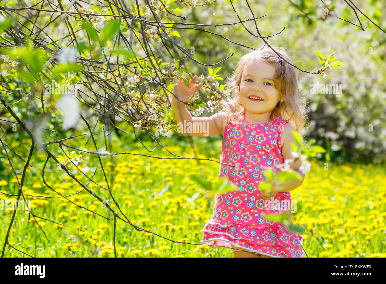 Happy little girl in spring sunny park Stock Photo - Alamy