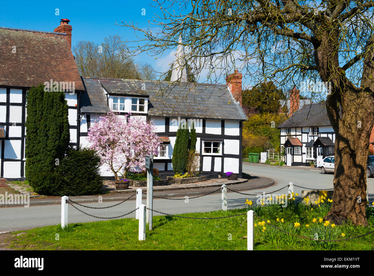 Springtime in the village of Dilwyn, Herefordshire, England Stock Photo