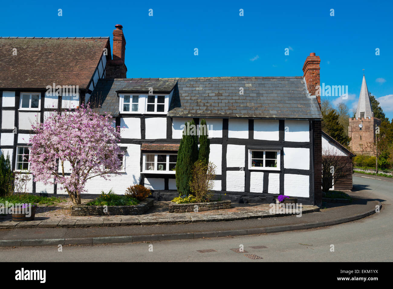 Springtime in the village of Dilwyn, Herefordshire, England Stock Photo