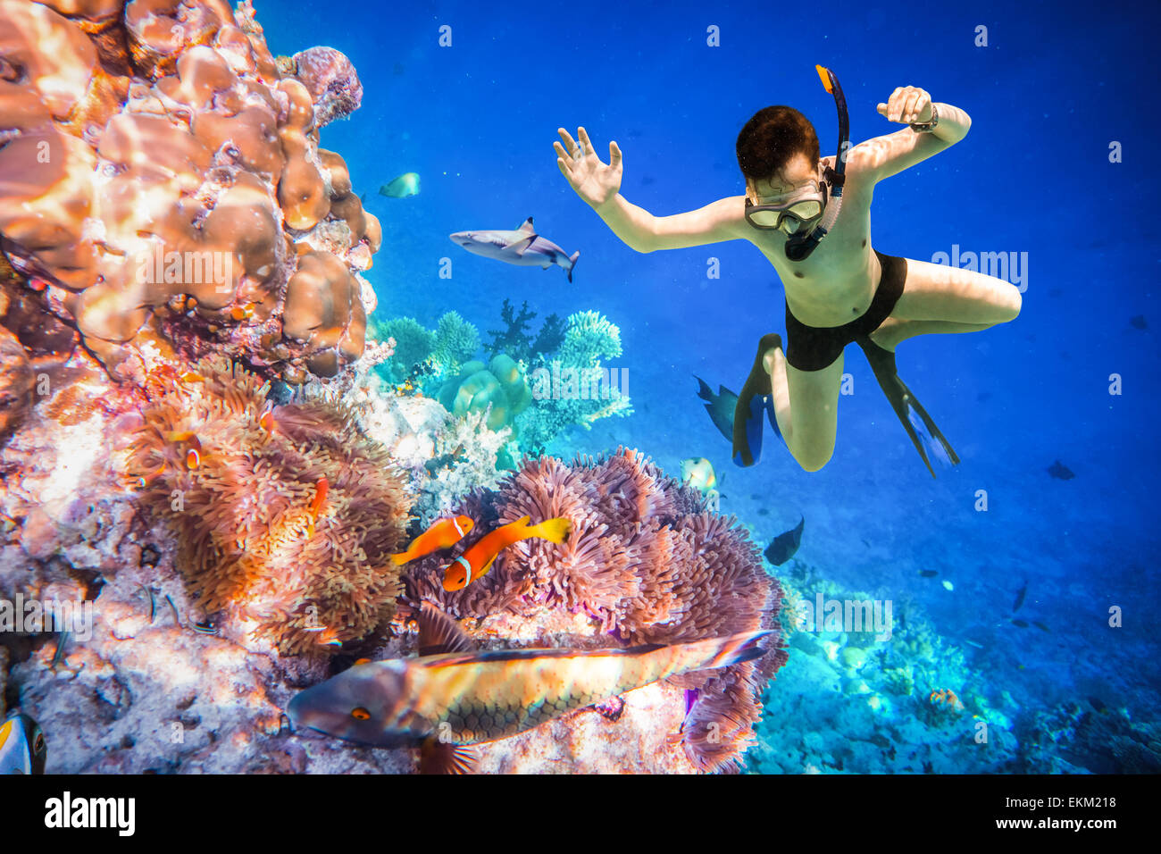 Snorkeler diving along the brain coral. Maldives - Ocean coral reef. Warning - authentic shooting underwater in challenging cond Stock Photo
