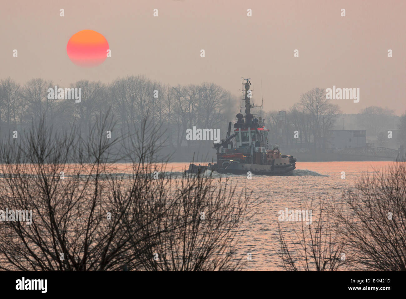 Tugboat in the sundown at Hamburg harbour, Hamburg, Germany, Europe Stock Photo