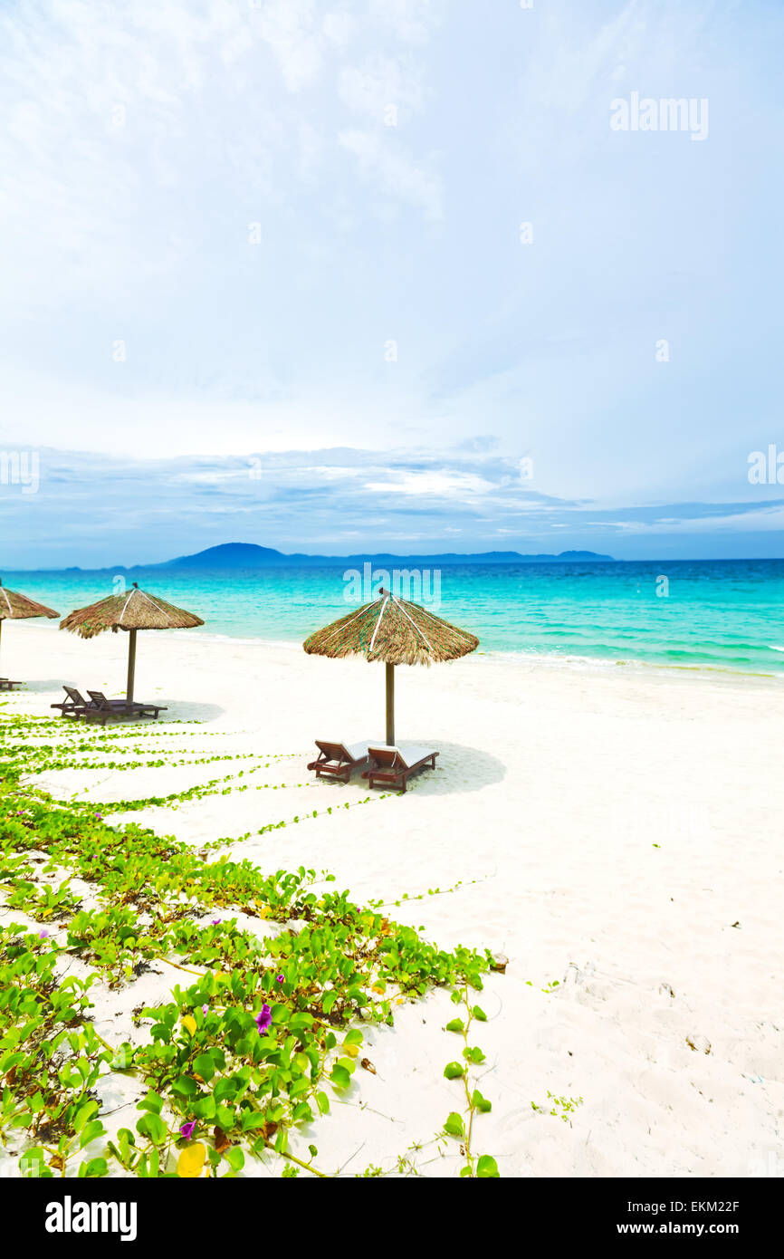 Sandy tropical beach with deck chairs in sunny day Stock Photo