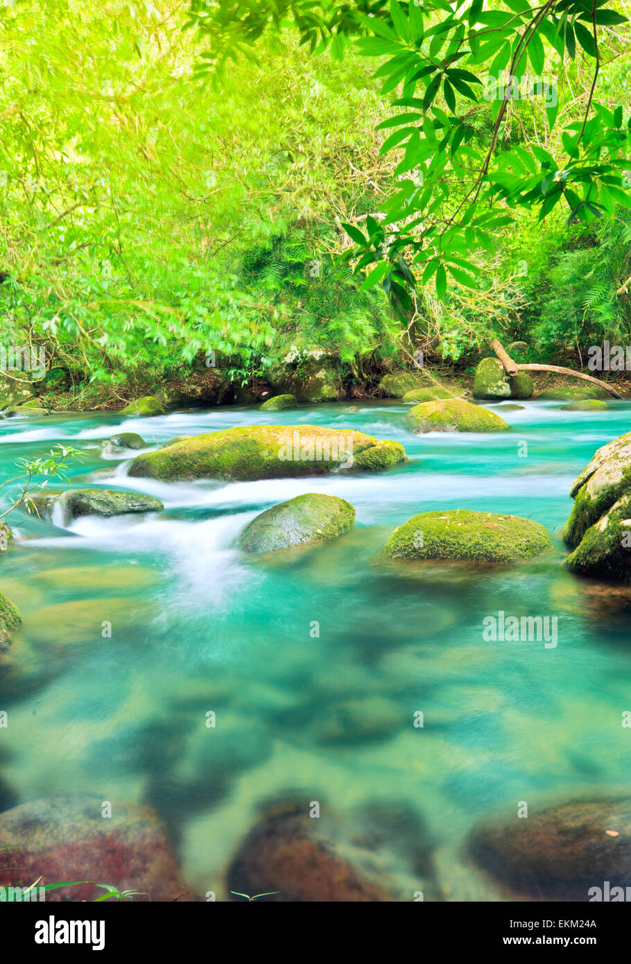 Blue water stream. Phong Nha - Ke Bang National Park. Vietnam Stock Photo