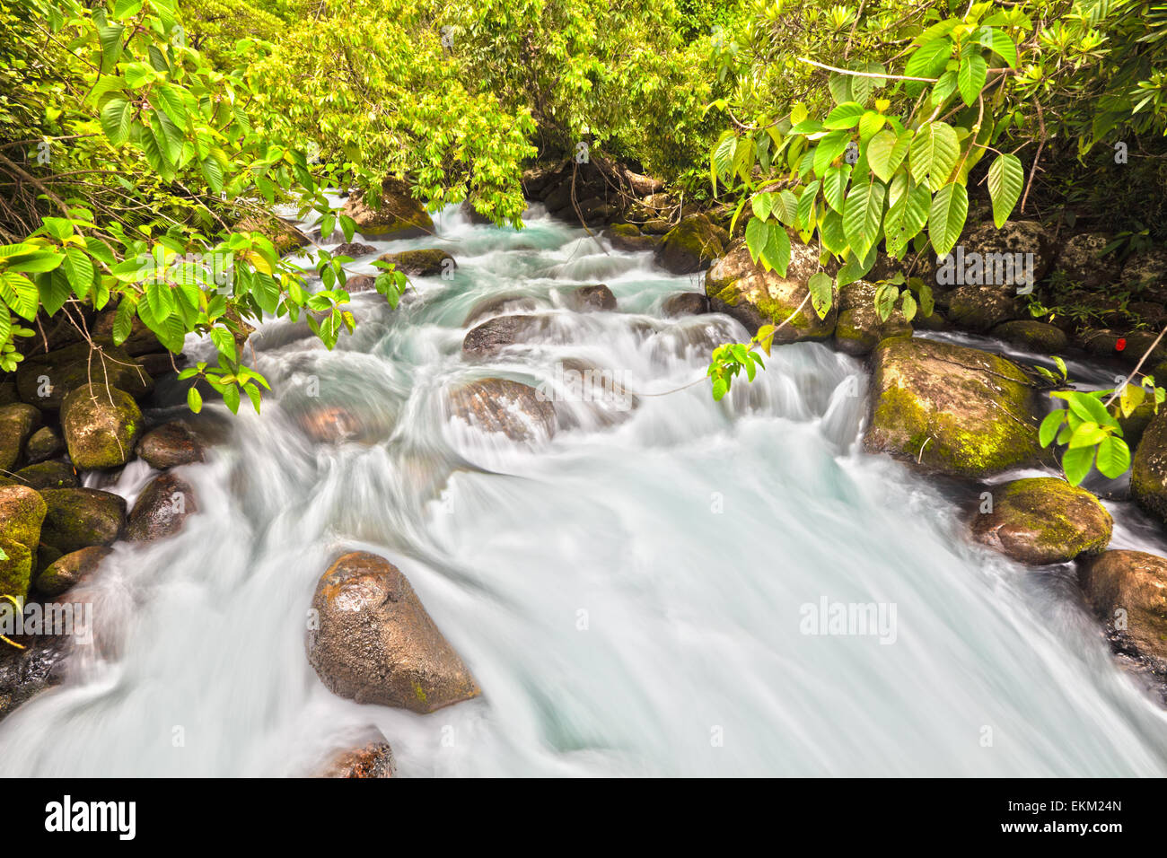 Mountain stream. Phong Nha - Ke Bang National Park. Vietnam Stock Photo