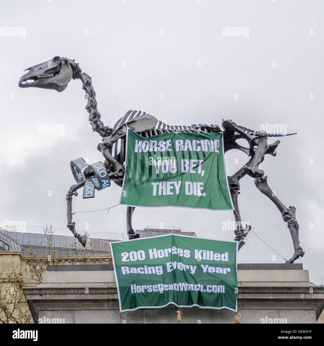 Trafalgar Square, London, UK. 11th April 2015. A Protest against the Grand National horse race on the 4th Plinth. Credit:  Paul Mendoza/Alamy Live News Stock Photo