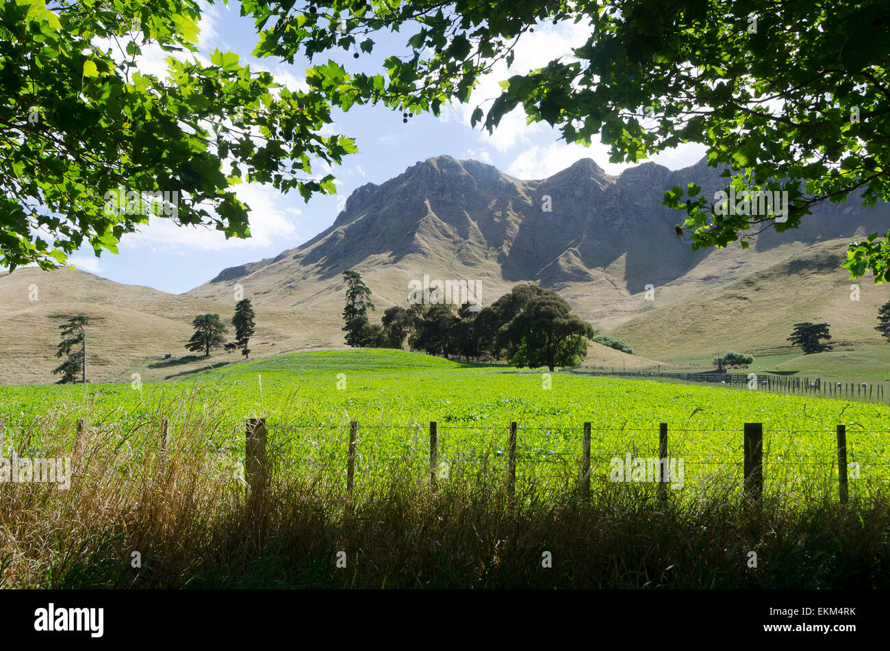 Te Mata Peak, Hawke Bay, North island, New Zealand Stock Photo
