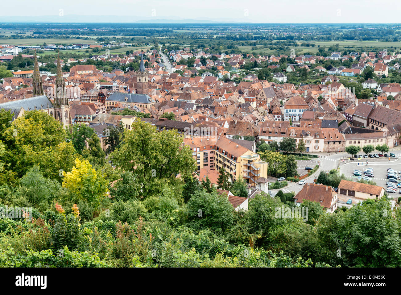 View From Mont National Over The Vineyards And Town Of Obernai, Alsace ...