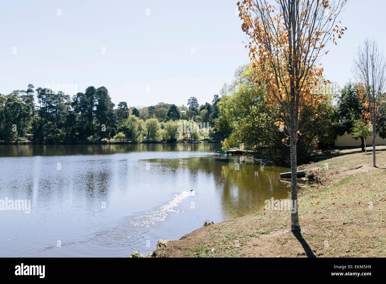 Autumn, Lake Daylesford, Daylesford, Victoria Australia Stock Photo Alamy