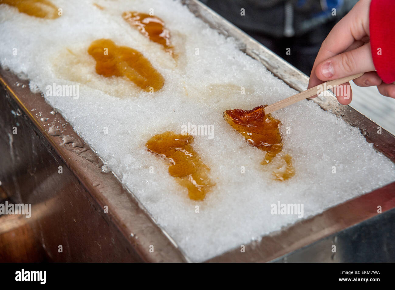 Maple taffy on snow during sugar shack period. In Quebec, Canada Stock