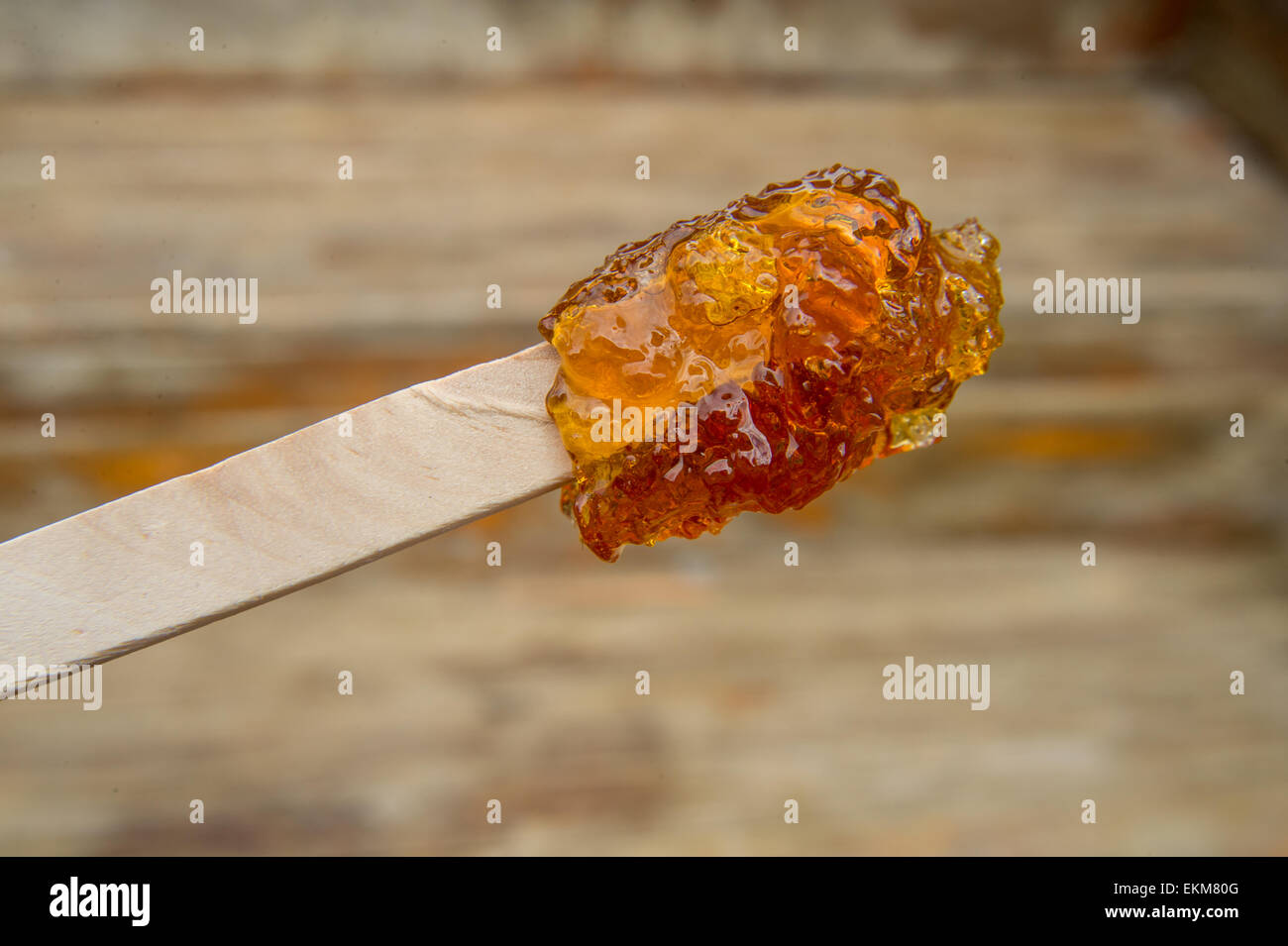 Maple taffy on a stick during sugar shack period Stock Photo Alamy
