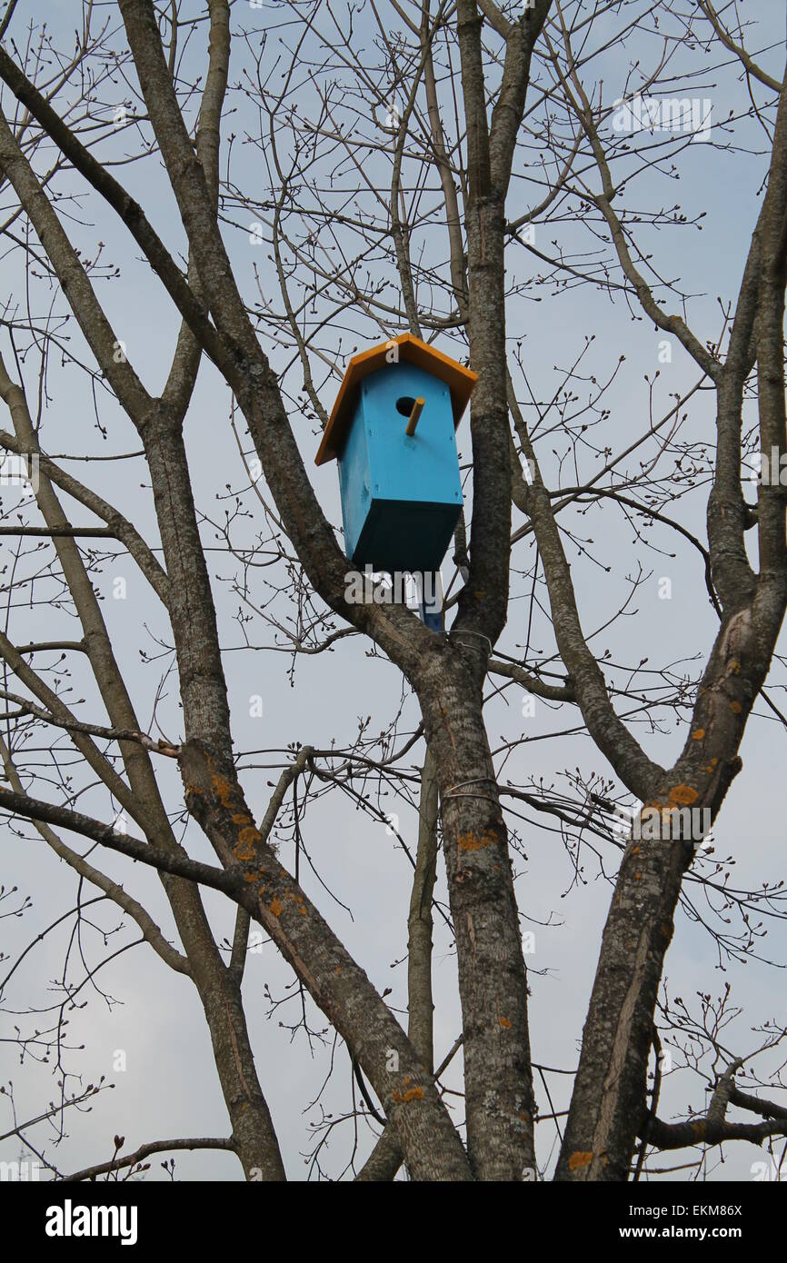blue wooden birdhouse hang on the top of the tree Stock Photo Alamy