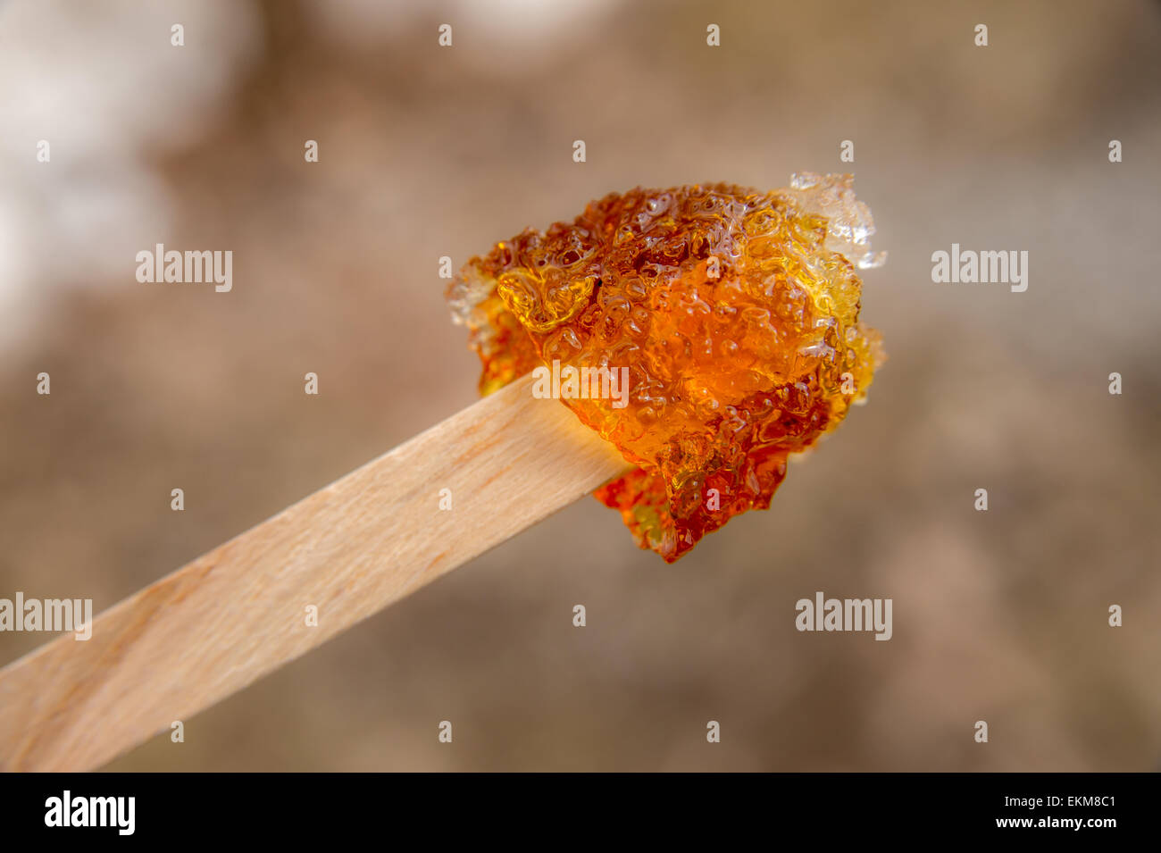 Maple taffy on a stick during sugar shack period Stock Photo - Alamy