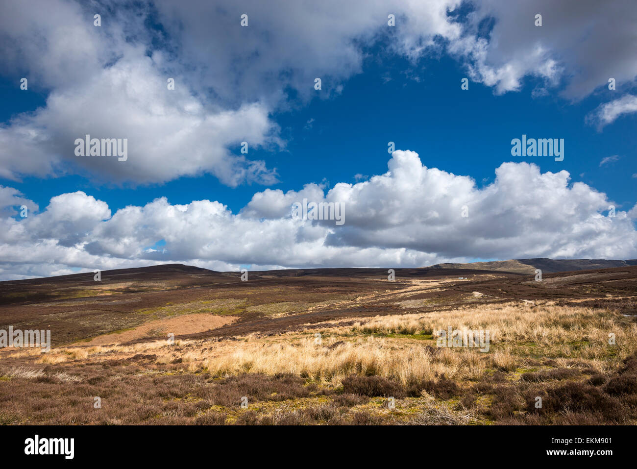 Wide open moorland landscape on hills above Hayfield in the Peak DIstrict, Derbyshire. Stock Photo